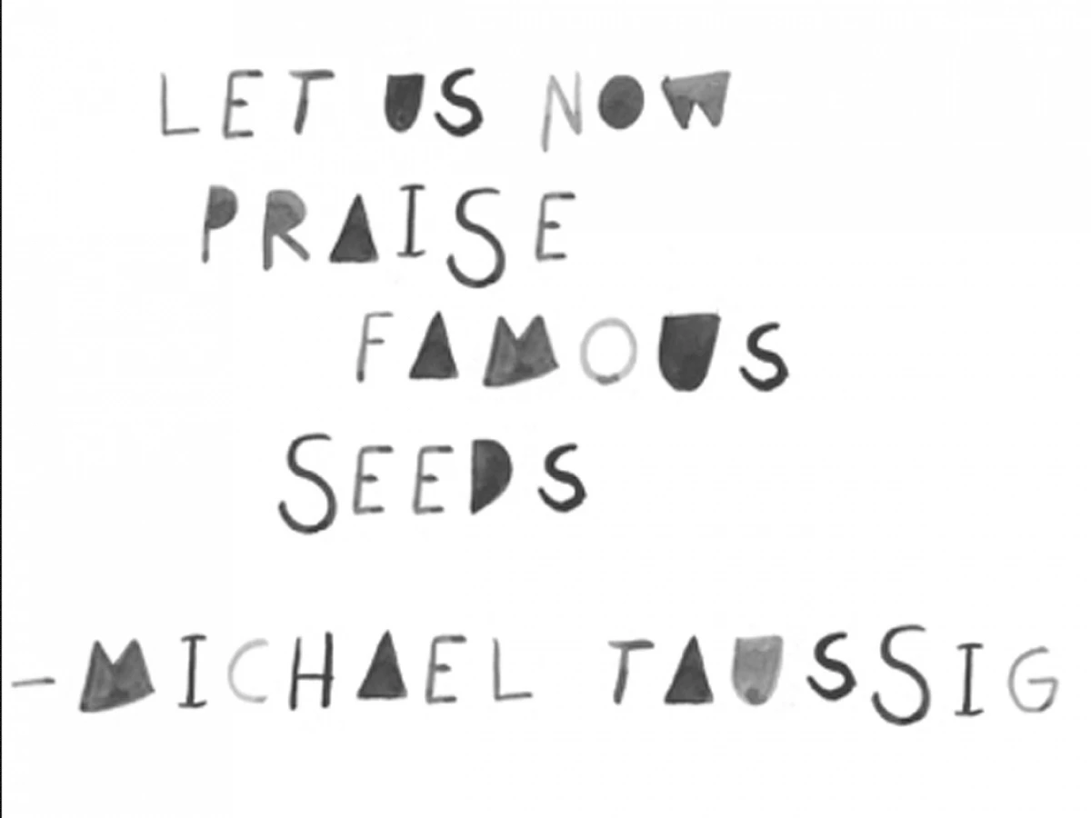 Taussig Seed 01