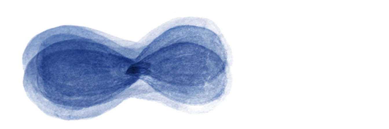 Taussig Seed 06