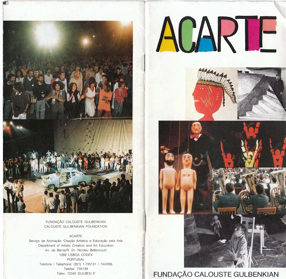 13 Anabigottevieira