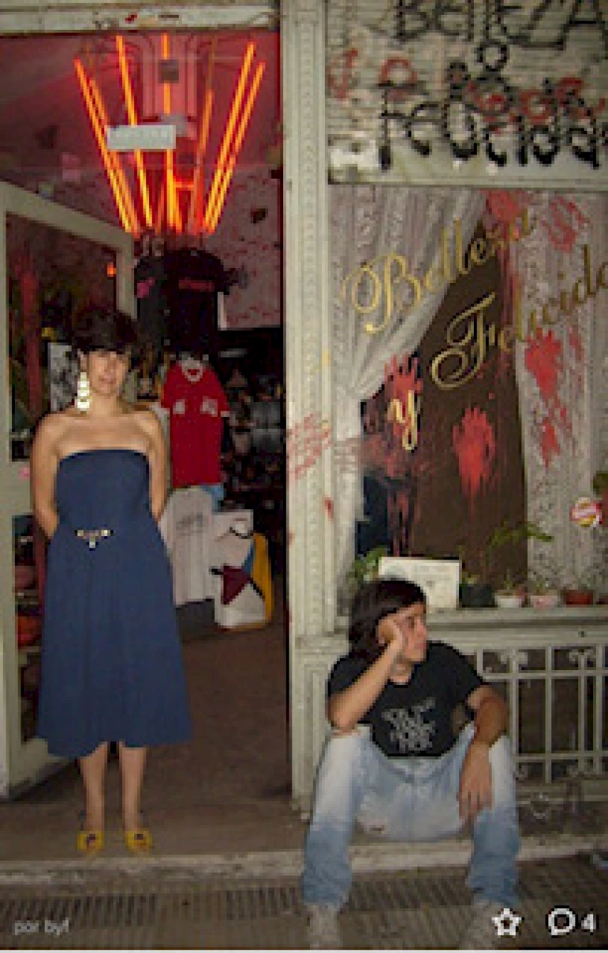 Fig 6. Image Of Belleza Y Felicidad Gallery, Buenos Aires, 1999 2007, Courtesy Of Fernanda Laguna And Cecilia Pavón.img 5483