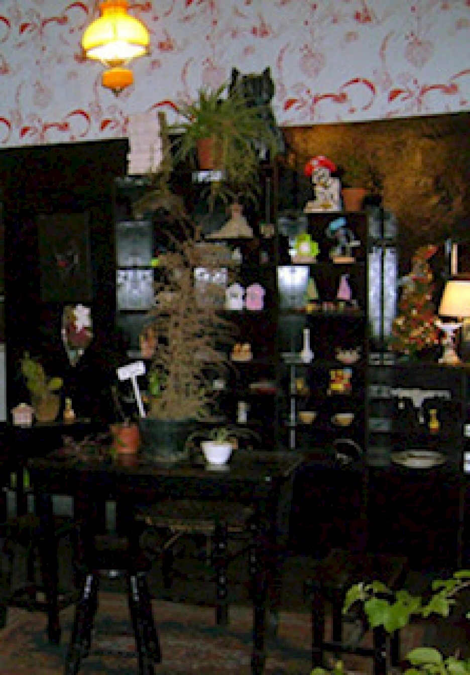 Fig 4. Image Of Belleza Y Felicidad Gallery, Buenos Aires, 1999 2007, Courtesy Of Fernanda Laguna And Cecilia Pavón.img 5485